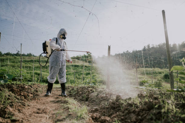 Best Pest Removal Services  in Dupont, PA