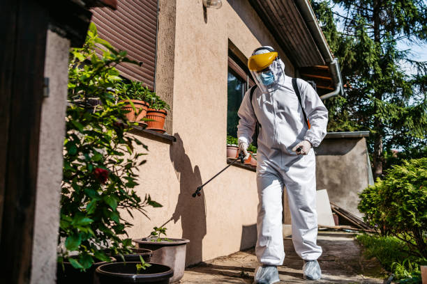 Best Affordable Pest Control Services  in Dupont, PA