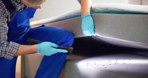 Professional Pest Control in Dupont, PA