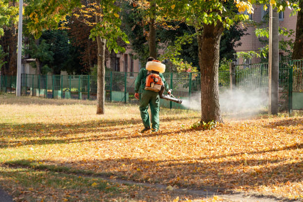 Best Termite Control Services  in Dupont, PA