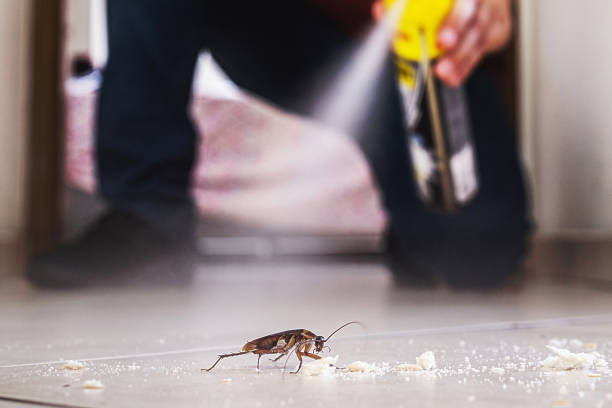Best Best Pest Control Companies  in Dupont, PA