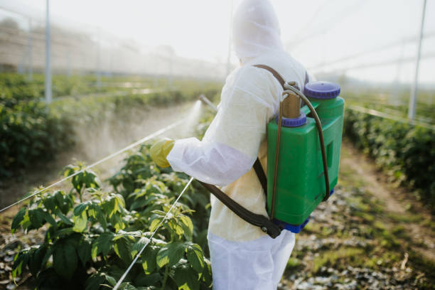 Dupont, PA Pest Control Company